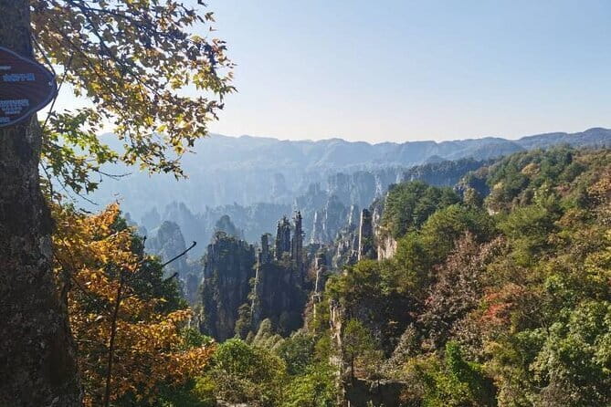1 Day Avatar Mountain & Fores Park Group Tour with VIP Access - Why the VIP access can change the day