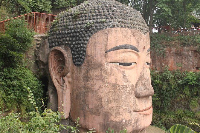 1-Day Chengdu Panda Base and Leshan Giant Buddha GROUP Tour - Why this Chengdu day trip works