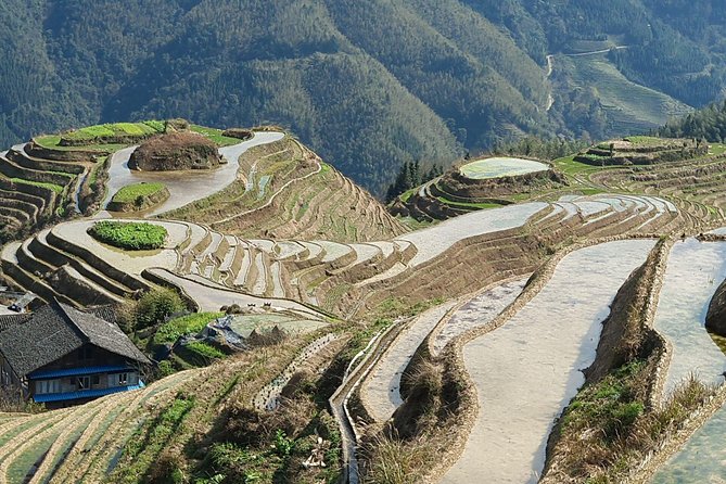 1-Day Longji Terrace Fields-Pingan village Tour with the English Speaking Driver - Four hours among the Dragon’s Backbone terraces