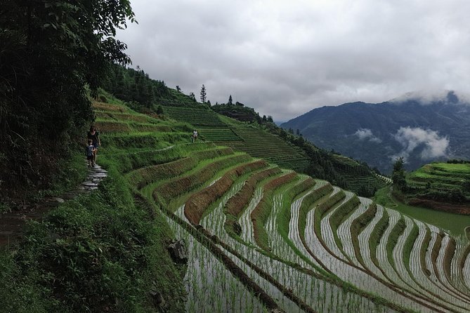 1-Day Longji Terrace Fields-Pingan village Tour with the English Speaking Driver - Buying the Longji ticket at the entrance