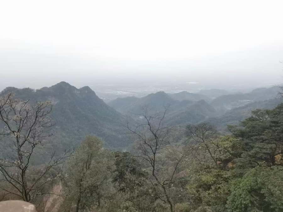 1-Day Mount Qingcheng and Dujiangyan Irrigation System Tour - Key points to know before booking