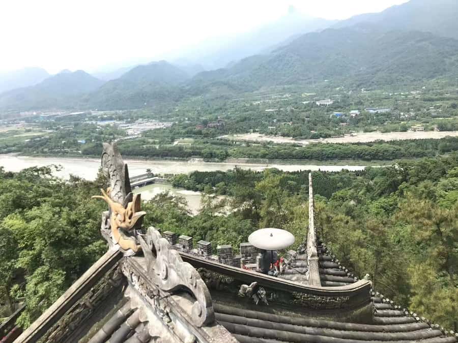 1-Day Mount Qingcheng and Dujiangyan Irrigation System Tour - Who should book this Chengdu excursion?