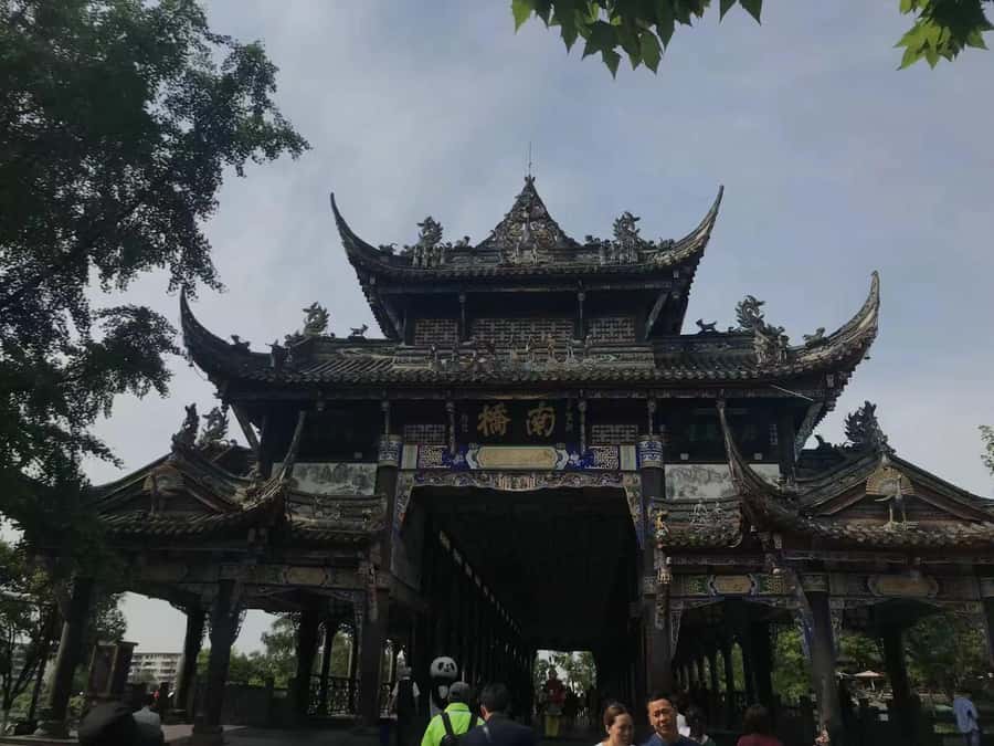 1-Day Mount Qingcheng and Dujiangyan Irrigation System Tour - What the private guide adds
