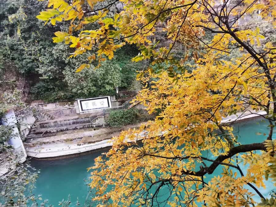 1-Day Mount Qingcheng and Dujiangyan Irrigation System Tour - The 9:00am pickup and ride to Mount Qingcheng