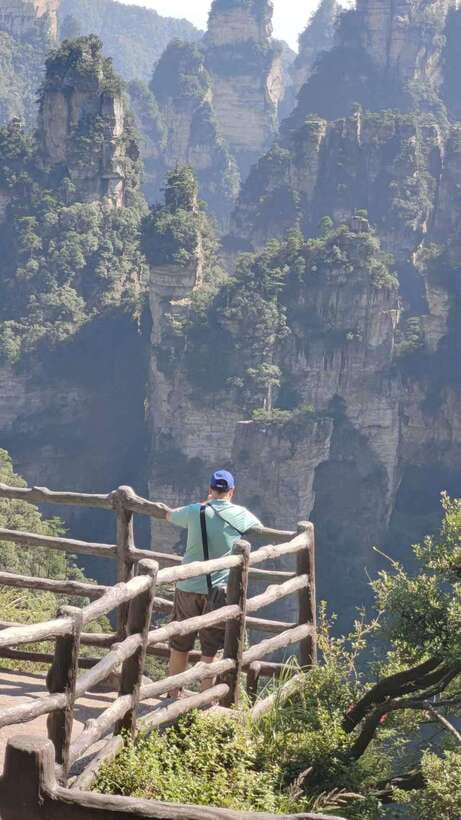 1-Day Private Tour to Zhangjiajie Highlights - Wildlife, trees, and birds between the viewpoints