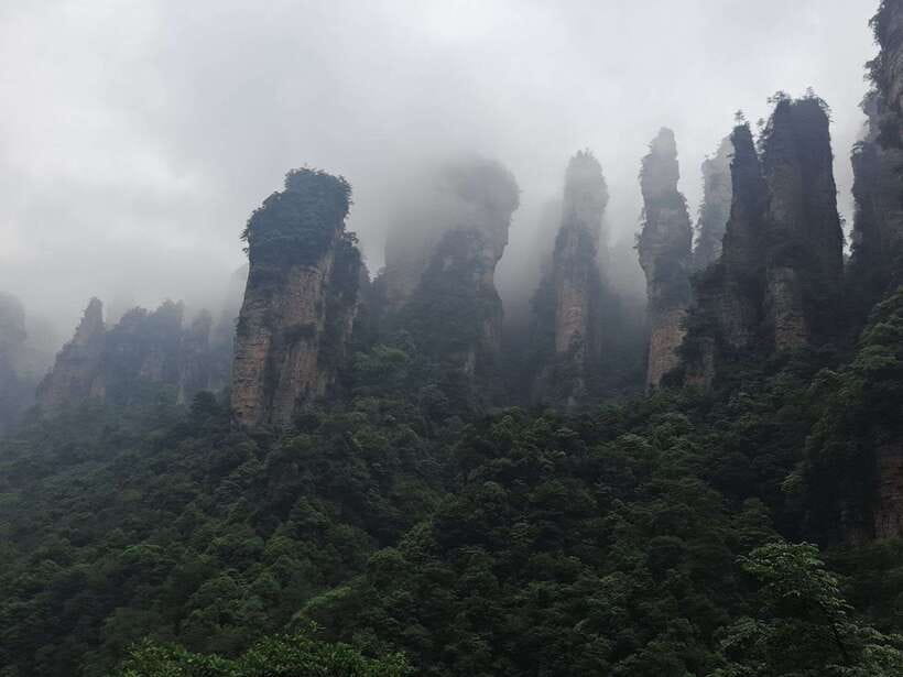 1-Day Private Tour to Zhangjiajie Highlights - How the 4.5-hour park visit fits the day