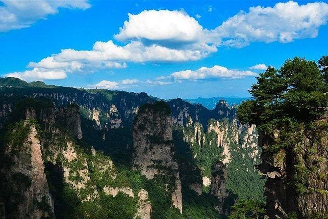 1-Day Private Tour to ZJJ Forest Park with Off the Beaten Tracks - Who should book this experience?