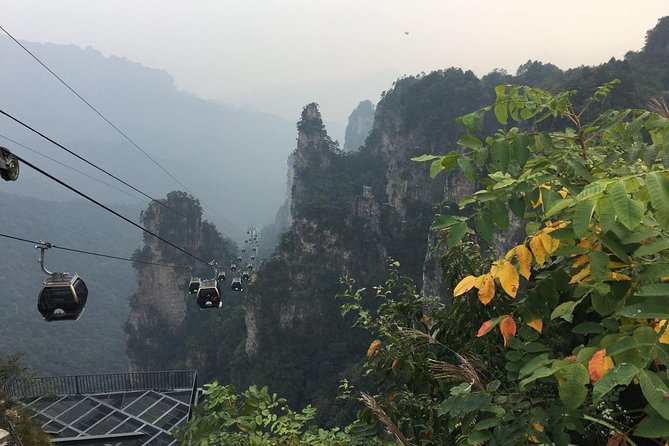 1-Day Private Tour to ZJJ National Forest Park & Avatar Mountain - Price, included services, and the real value
