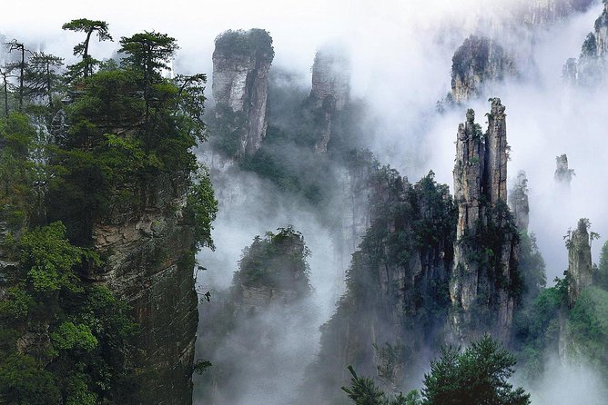 1-Day Private Tour to ZJJ National Forest Park & Avatar Mountain - Starting at Golden Whip Brook