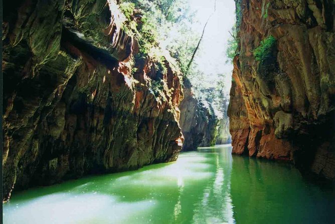 1 Day Stone Forest & Jiuxiang Cave Tour - Why this Kunming day trip works
