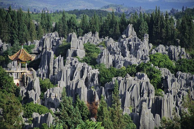 1 Day Stone Forest & Jiuxiang Cave Tour - Going underground at Jiuxiang Scenic Region