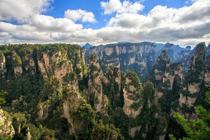 1 "Pandora" Day Trip-Zhangjiajie National Park(Avatar Mountain Scenery) - Golden Whip Brook, Two Hours at Valley Level