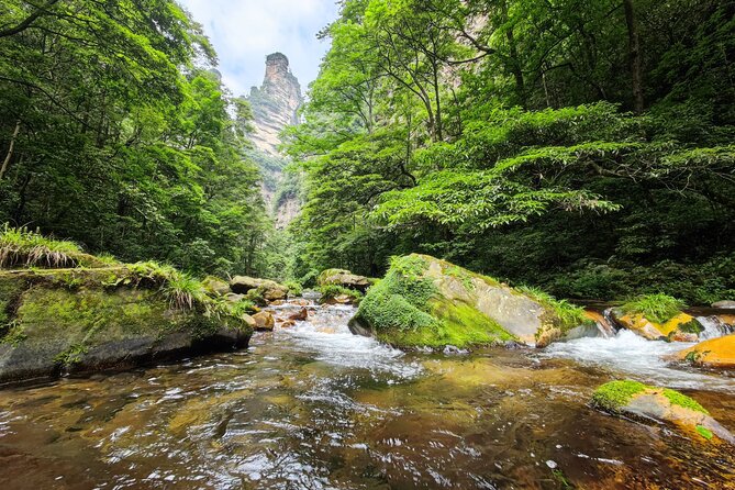 1 "Pandora" Day Trip-Zhangjiajie National Park(Avatar Mountain Scenery) - Riding the 326-Meter Bailong Elevator