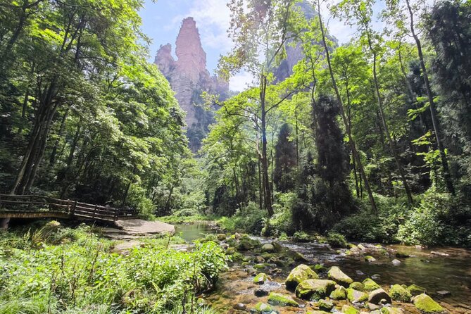 2-Day “Best Of Zhangjiajie”-Avatar World & Tianmen Mountain Tour - The Bailong Elevator: fast ascent, big spectacle