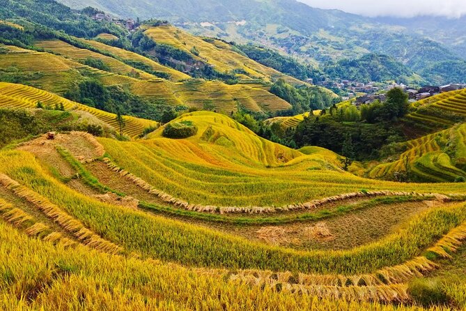 2 Day Guilin Highlights Li River Cruise and Longji Terraces Tour - One hour on Yangshuo’s West Street
