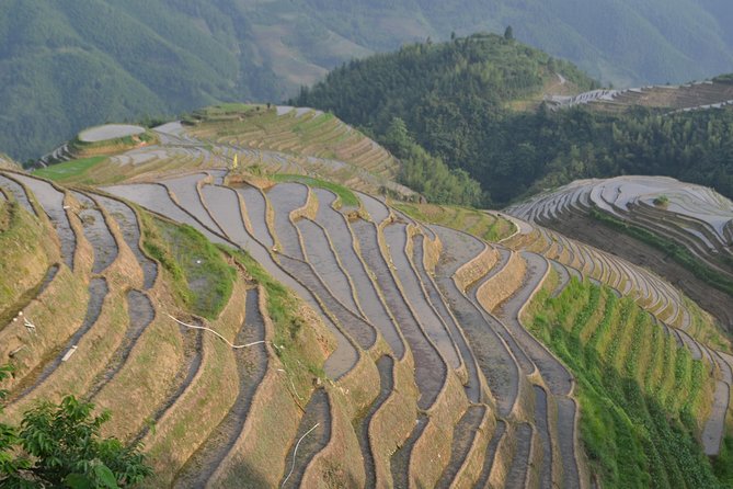 2 Day Guilin Highlights Li River Cruise and Longji Terraces Tour - Reading the Longji Rice Terraces