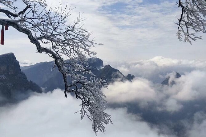 2-Day Private Combo Tour: Avatar Mountain & Tianmen Mountain - What the $225.90 price really covers