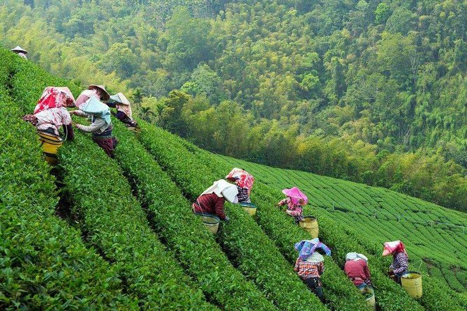 2-Day Unlimited Private Trip to Suzhou and Hangzhou by Bullet Train from Shanghai - Why this Shanghai side trip works