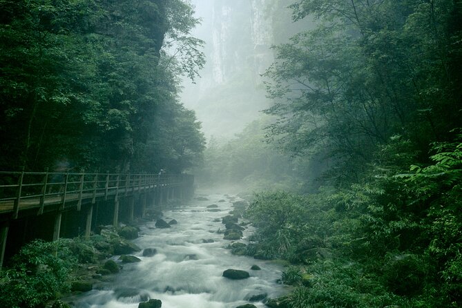 2 Full Days Zhangjiajie National Forest Park & Glass Bridge Tour - Junsheng Painting Institute: a local art finish