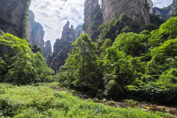 3-Day "A Bite" Of Mysterious West Hunan Tour (Zhangjiajie+Fenghuang) - Golden Whip Brook from the canyon floor