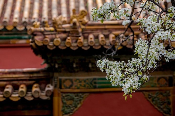 3-Day Private Beijing Tour with Forbidden City, Great Wall, Hutong and Lunch - The Summer Palace and Its Seasonal Boat Ride
