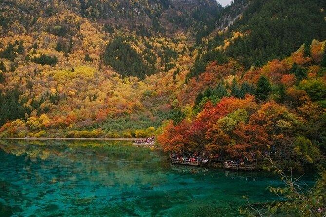 3 Day Private Tour to Jiuzhai Valley and Huanglong - Day one: pandas, then the long road north