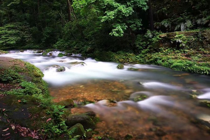 3-Day Private Zhangjiajie In-depth Exploring Tour - What $745 Covers, and What It Does Not