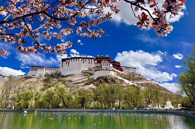 4 Days Lhasa Impression Small Group Tour - Who will enjoy this Lhasa introduction?