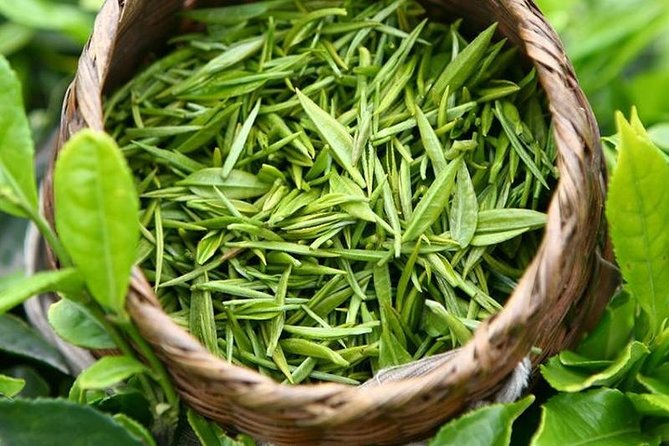 4-Hour Hangzhou City Private Customized Tour with Options - Longjing tea fields change the pace