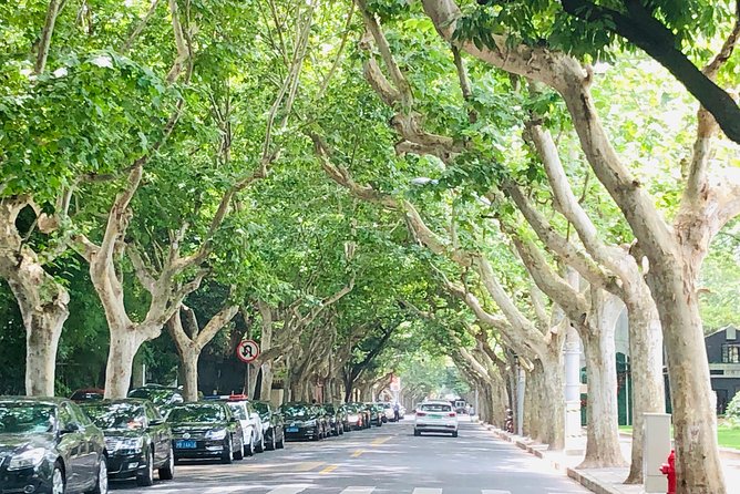 4-Hour Private Shanghai Walking Tour of Former French Concession - Sinan Mansions and Nongtang Daily Life