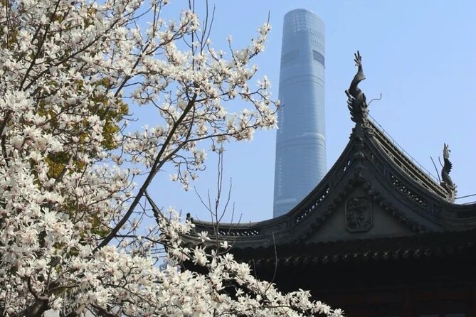 4-Hr Shanghai Layover Tour: Maglev, Wet Market, Food, Landmarks - Why this tour works for a short Shanghai stop