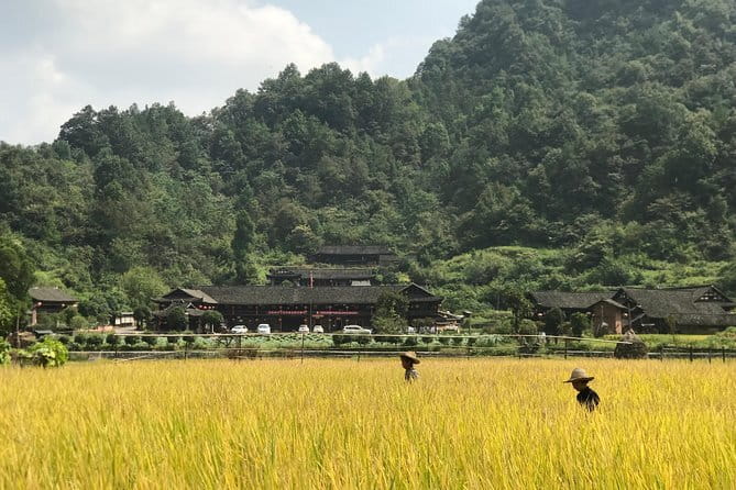 5-Day Private Zhangjiajie Ultimate Experience Tour - Day 4: Huangshi Village and the long walk beside Golden Whip Brook