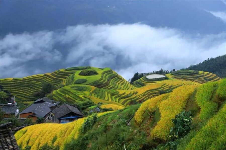 6-Day Private Tour: Guilin Terraces, Fenghuang & Zhangjiajie - Five details that shape the experience