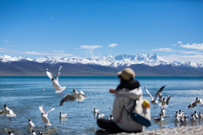 6 Days Lhasa Gyantse Shigatse Group Tour - Day one: a gentle arrival in Lhasa