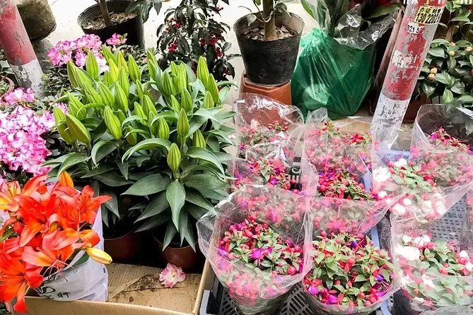 6-Hour Private Beijing Tour: Flower and Fish Market, Panjiayuan Antique Market and 798 Art Zone - Practical details before you reserve