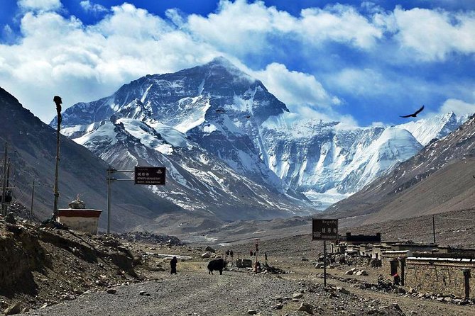8 Days Lhasa Gyantse Shigatse Mt Everest Group Tour - Day 4: Yamdrok Lake, Karola Glacier, and Gyantse