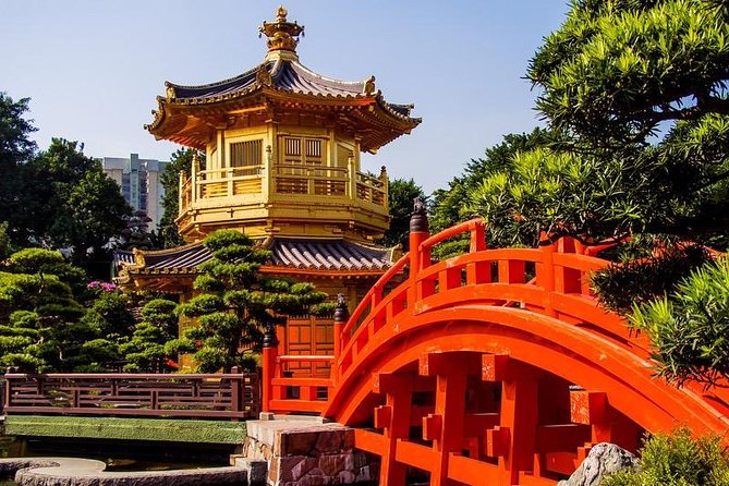 A Perfect Hong Kong Layover - 5h private tour - The food stops add real value