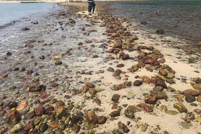 Afternoon Hiking Tour Sharp Island Geopark - The sand levee is the route’s special feature