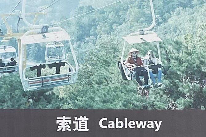 Airport or Hotel Transport to Mutianyu Great Wall - The driver service gets the strongest praise