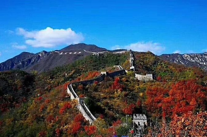 All-inclusive Mutianyu Wall and Forbidden City Private Tour - Is $238 per person a fair price?