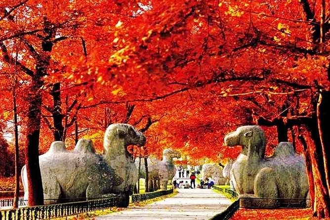 All Inclusive Nanjing City Private Day Tour with Tailor-Made Highlights - Why this private Nanjing route makes sense