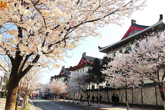 All Inclusive Nanjing City Private Day Tour with Tailor-Made Highlights - Starting on Purple Mountain
