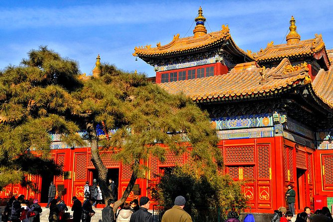 All-inclusive Private Day Trip: Hutongs, Lama Temple & Panda House with Lunch - Who will get the most from this tour