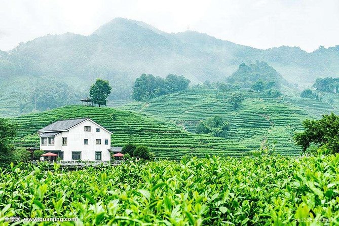 Authentic Hangzhou Longjing Tea Culture Experience Tour - Hotel pickup makes the countryside easy