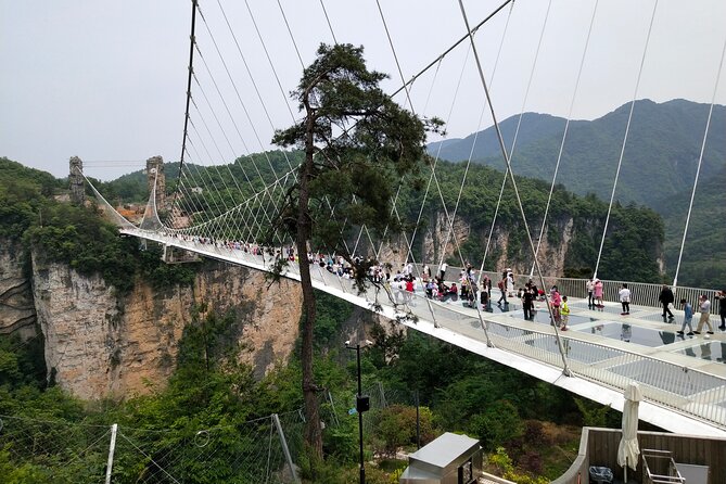 Baofeng Lake,Zhangjiajie Glass Bridge & Grand Canyon day tour - Why this private Zhangjiajie tour works