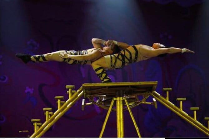 Beijing Acrobatic Show in Red Theater with Guide and Transfer - Booking and cancellation advice
