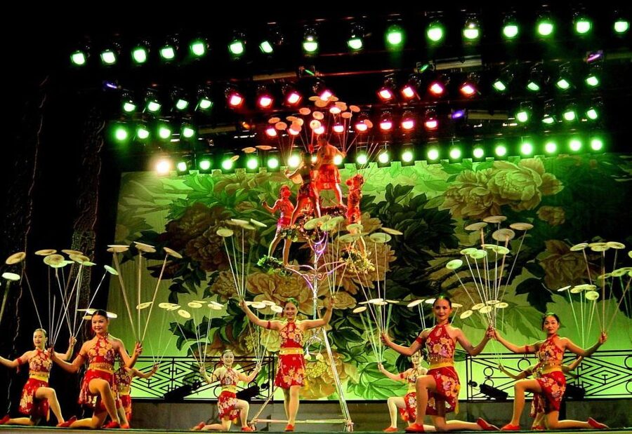 Beijing: Acrobatic Show with Peking Duck Dinner Private Tour - What the guide adds to the evening