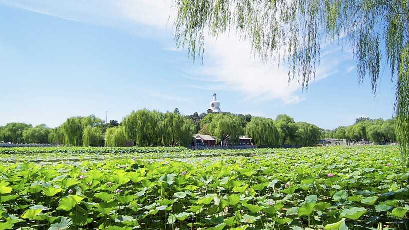 Beijing: Beihai Park Full Access Ticket - Must-See in China - Is $9 Good Value for Four Hours?