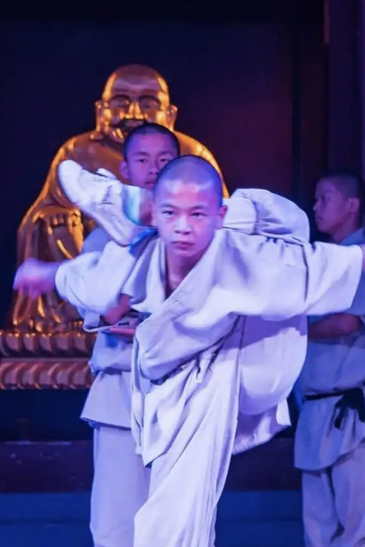 Beijing:Bullet Train Day Tour to Shaolin Temple&Martial Arts - The return journey to Beijing