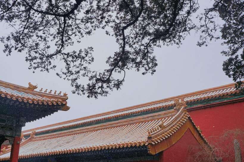 Beijing:Forbidden City & Tian'anmen Square with entry ticket - Jinshan Park for the best overall view